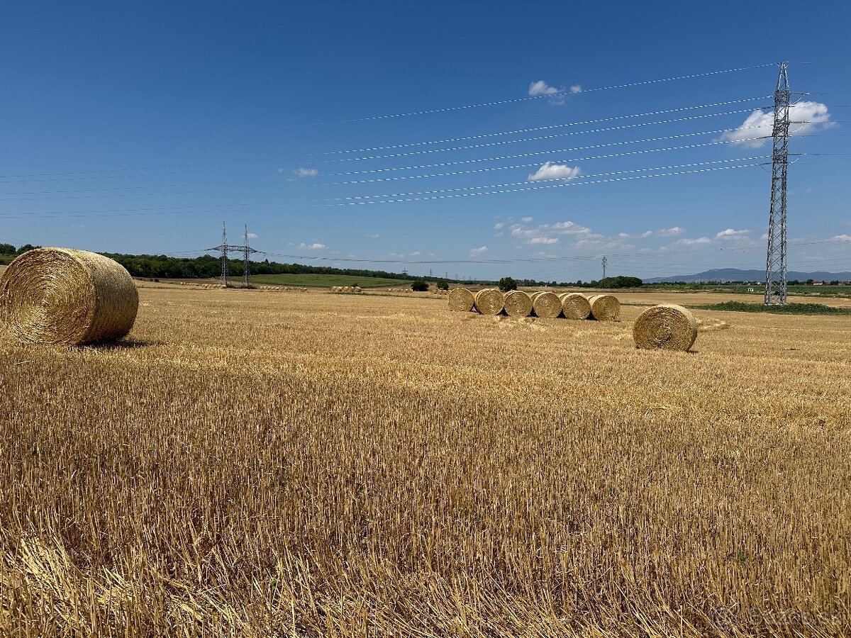 Predám môj prebytok pšeničnej slamy - 10