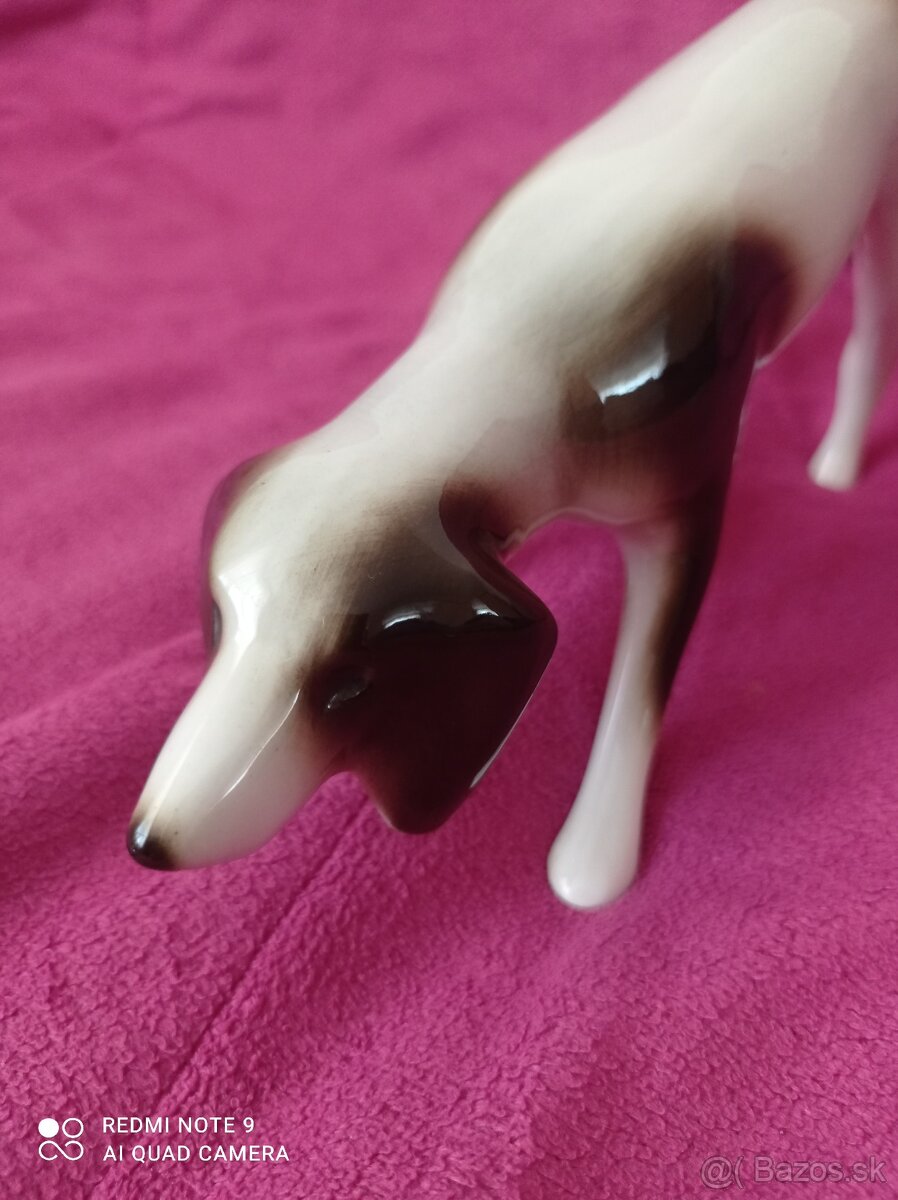 Staré sošky Baletka Pes - 10