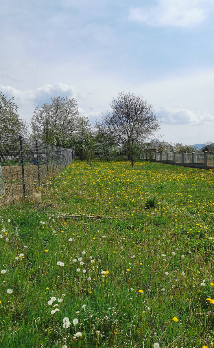 RODINNÝ DOM - CHALÚPKA a POZEMOK 1539m2 KLÁTOVA N. V. -VOĽNÝ - 10