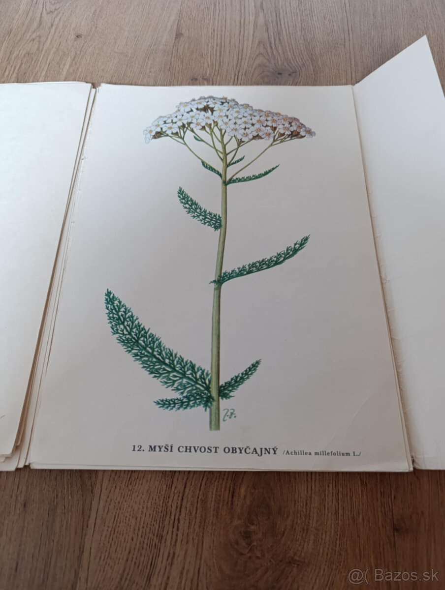 Staré školské pomôcky - 10