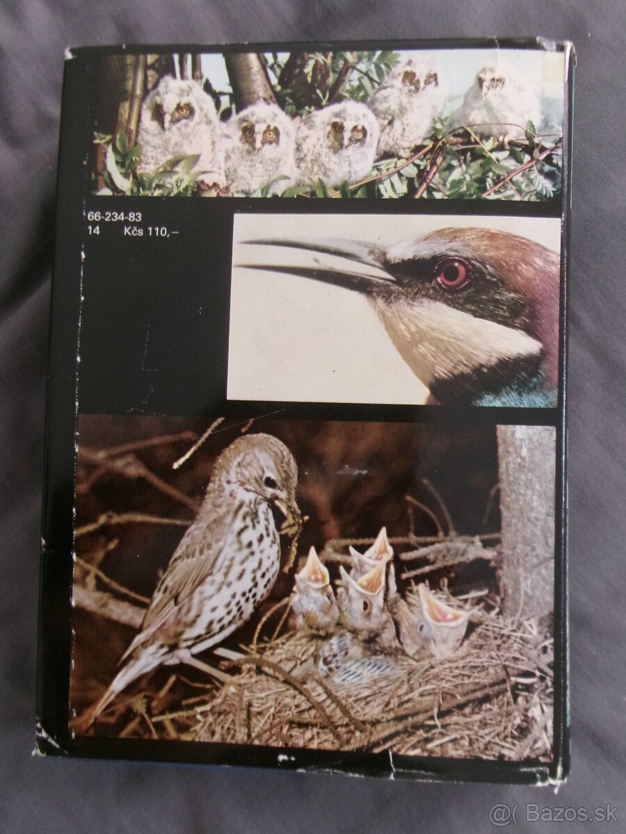 Veľký obrazový atlas vtákov - Jan Hanzák. - 10