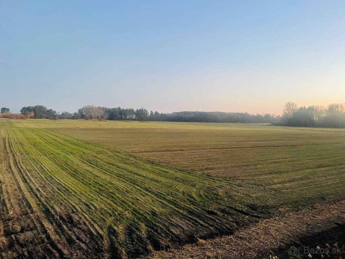 Veľký Pozemok 45 172 m² pri Malých Levároch - 10