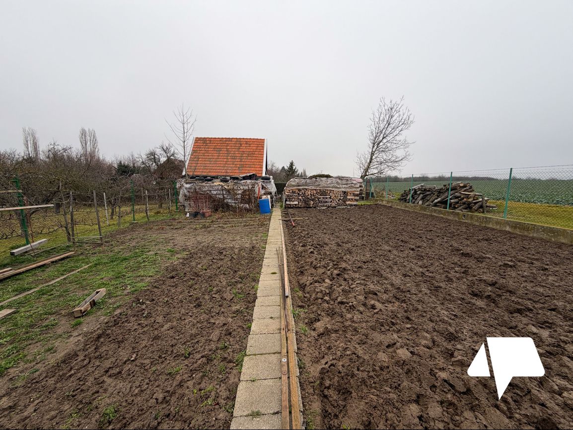 Predaj - Rodinný dom - Zlaté Moravce - 10