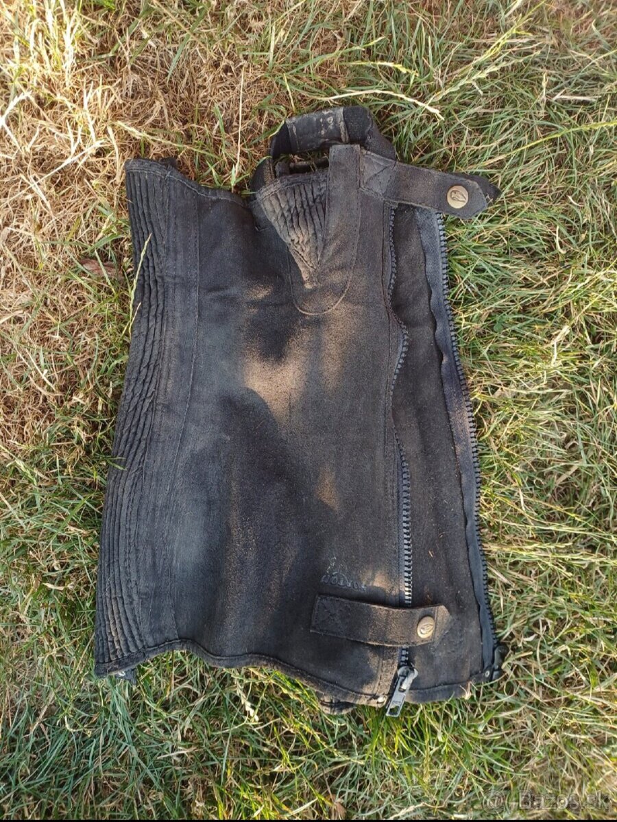 Kentaur, Equiline, F.R.A... - 10