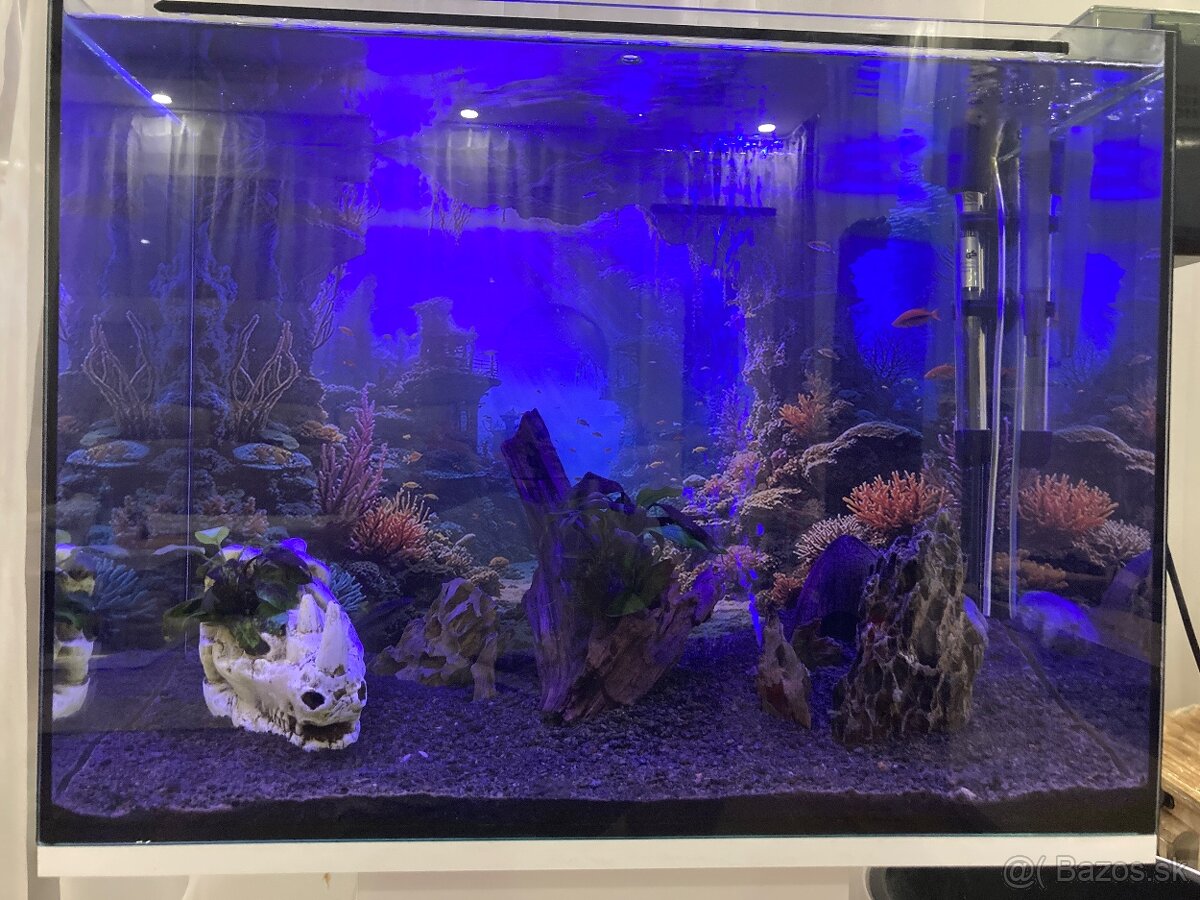 Zariadené akvárium 75l - 10
