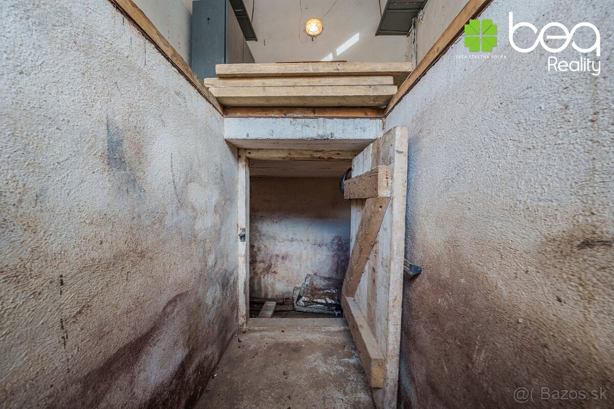 Garáž s elektrinou, montážnou jamou, pivnicou Levoča - 10