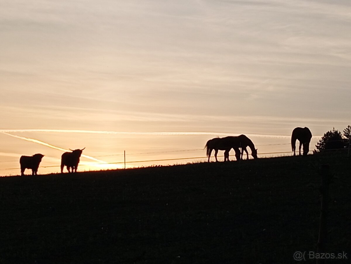 Ustajnenie 24/7 - 10