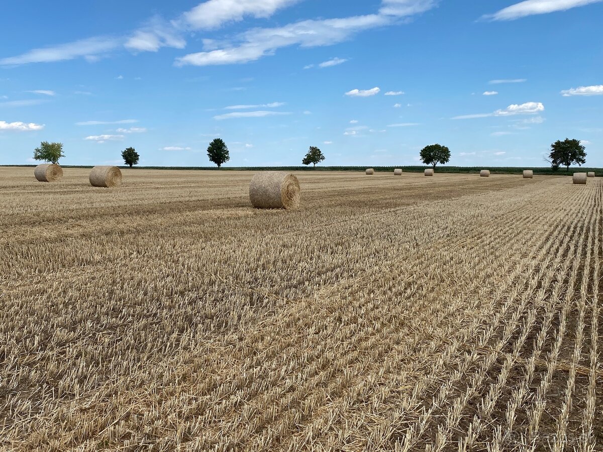 Slama na predaj - 10