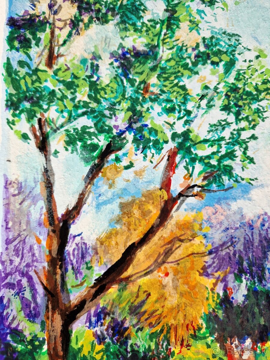 DIMITRI POLAK (podpísaný, očíslovaný) Serigrafia (impres.) - 10