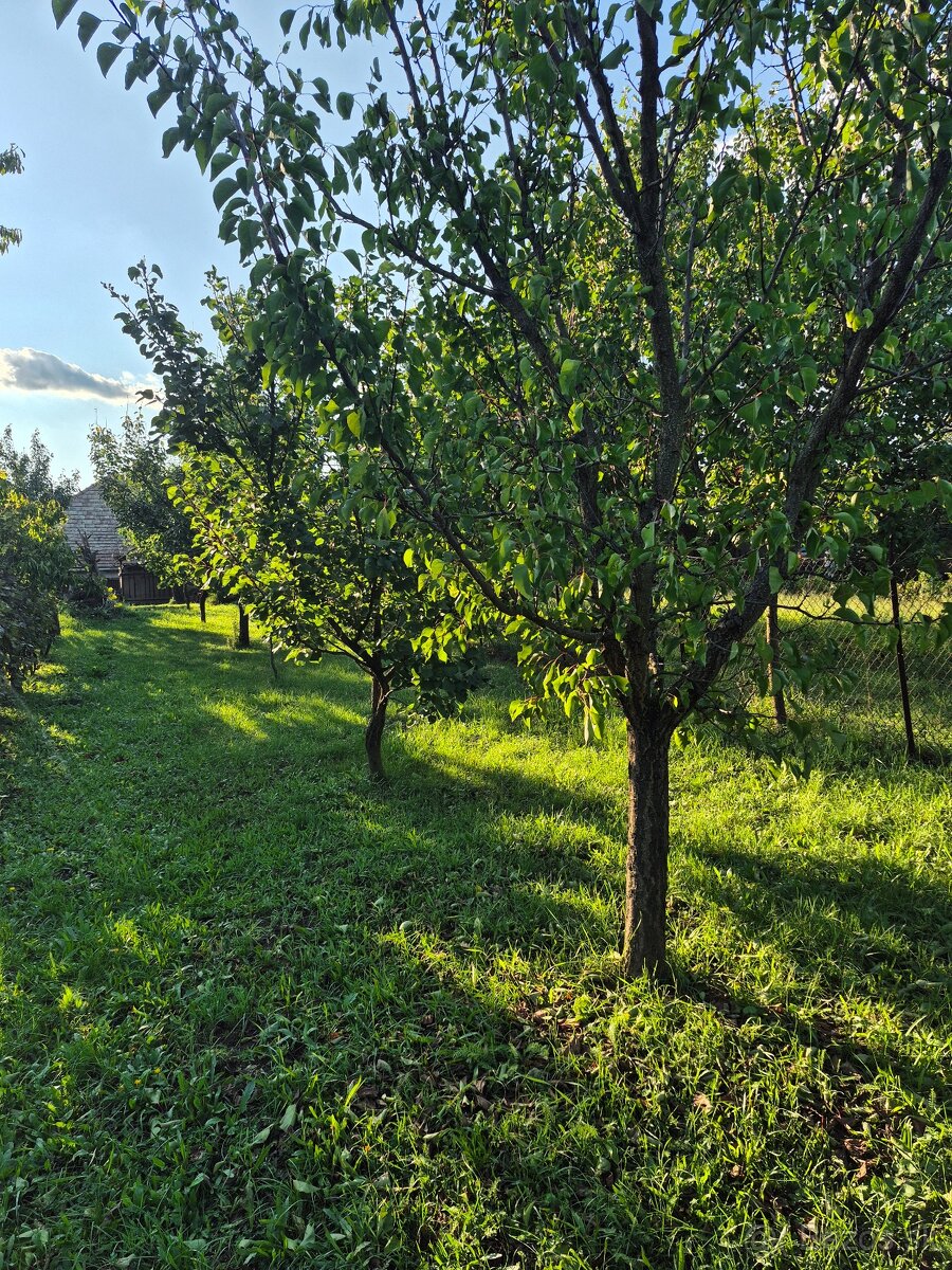 Vidiecky dom s výnimočnou záhradou v obci Méra - 10
