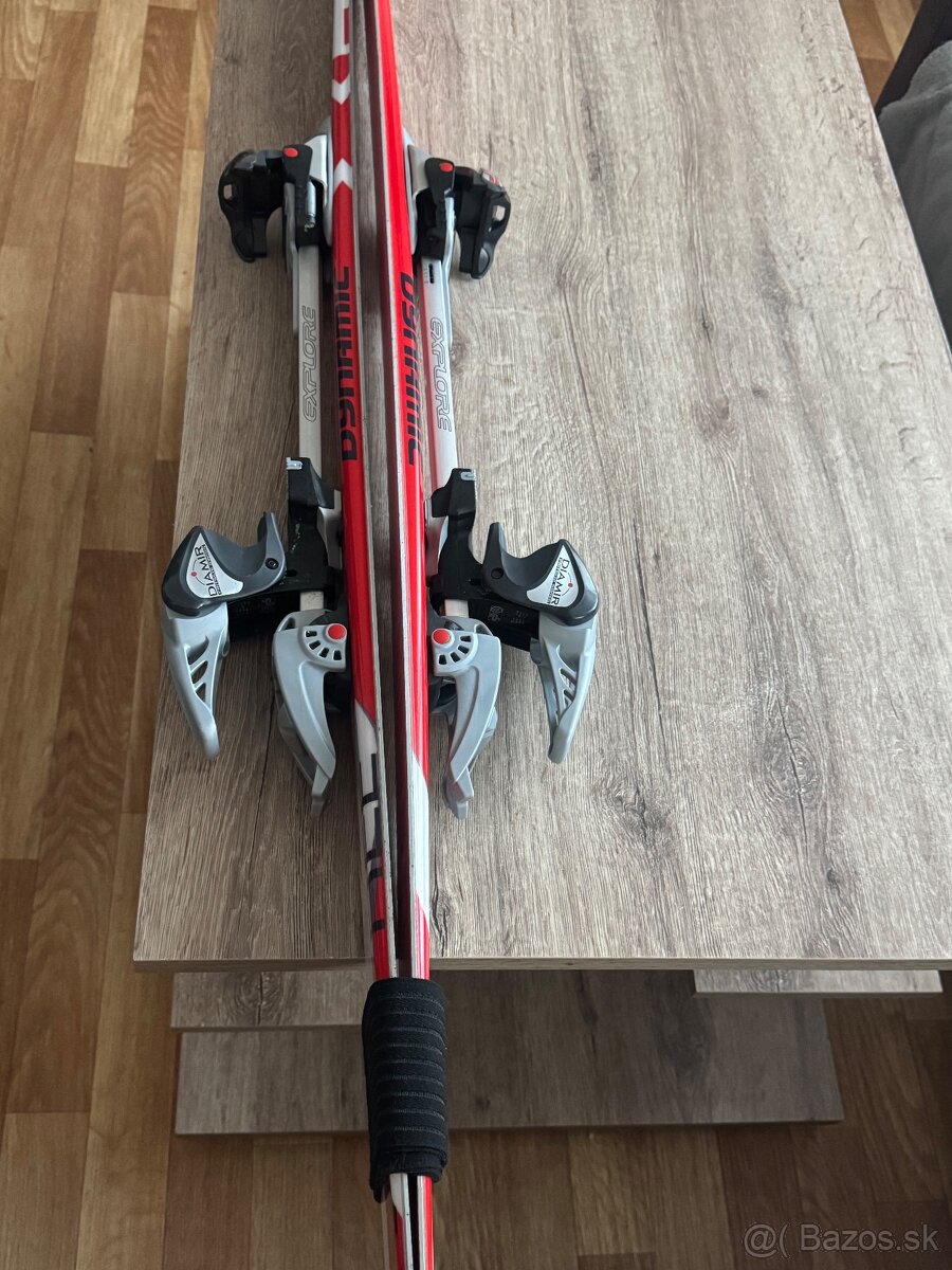 Lyže Dynamic 170cm Viazanie Diamir Expolore - 10