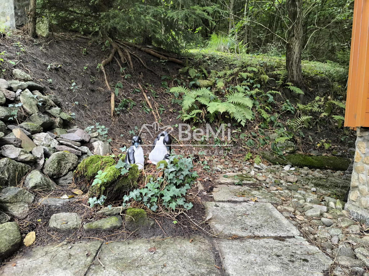 Rekreačná chata s veľkým pozemkom v lese - 10