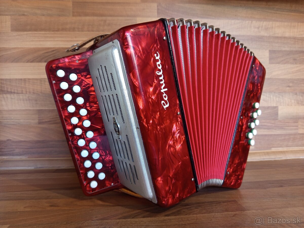 Akordeon, harmonika, heligonka - 10