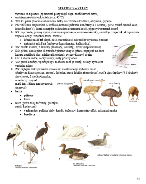 Poznámky na maturitu z biológie/prípravu na VŠ - 10