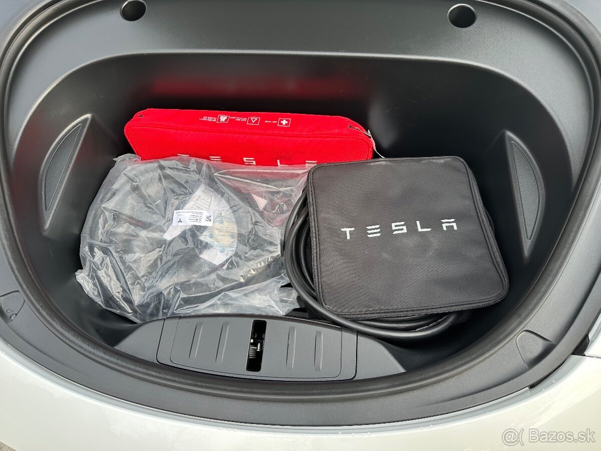 Predam:2022 Tesla3 Performance - 10