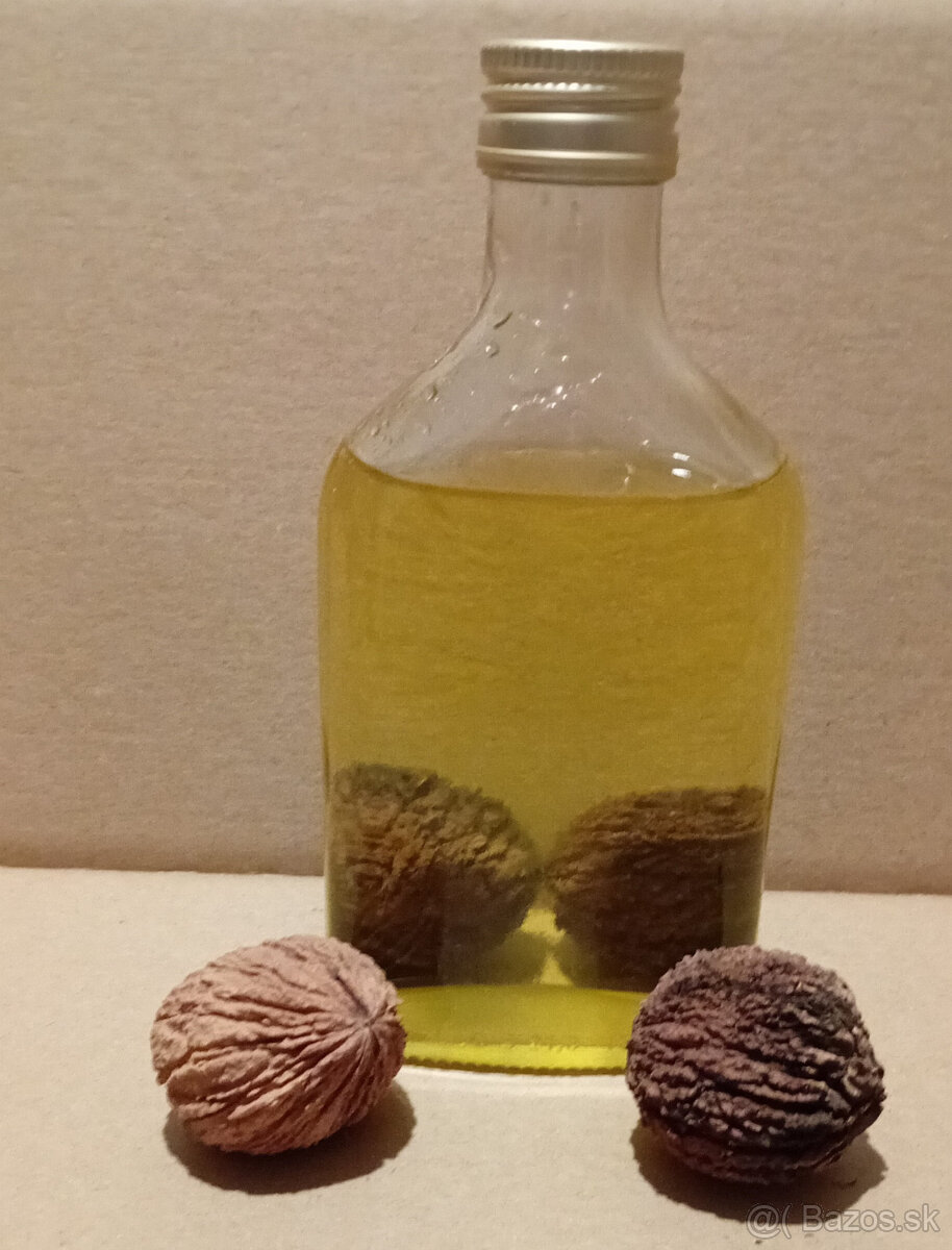 Orech čierny - sadenice. Orech čierny - Kotora - 10