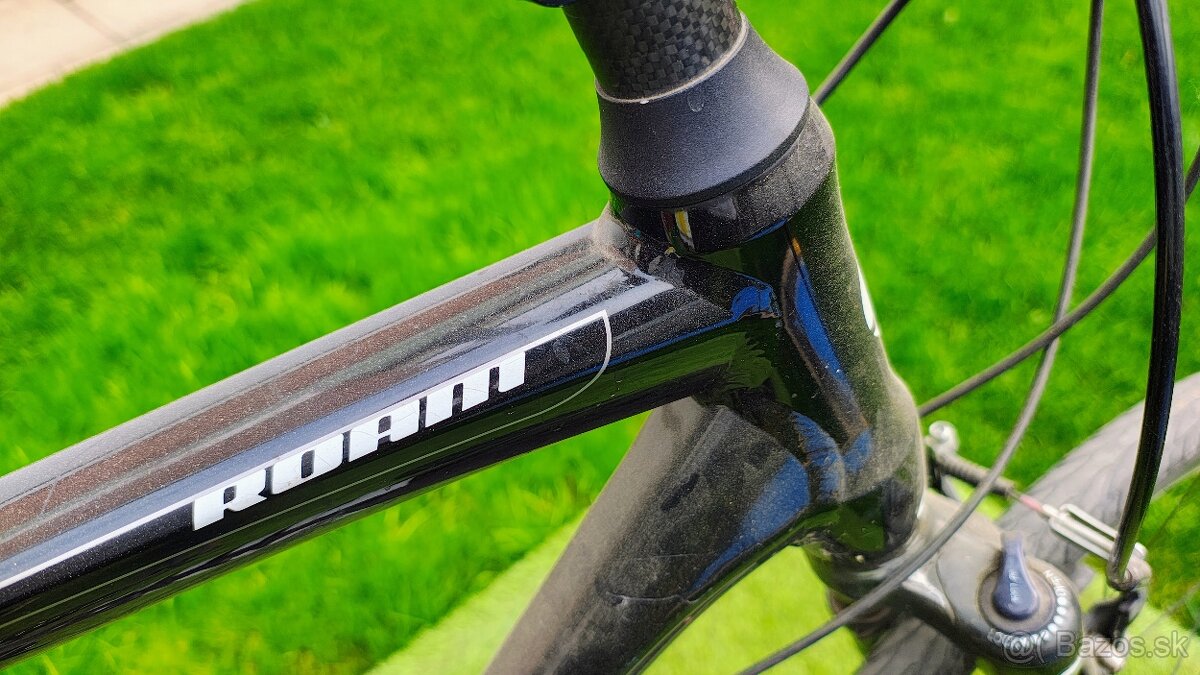 Giant roam - 10