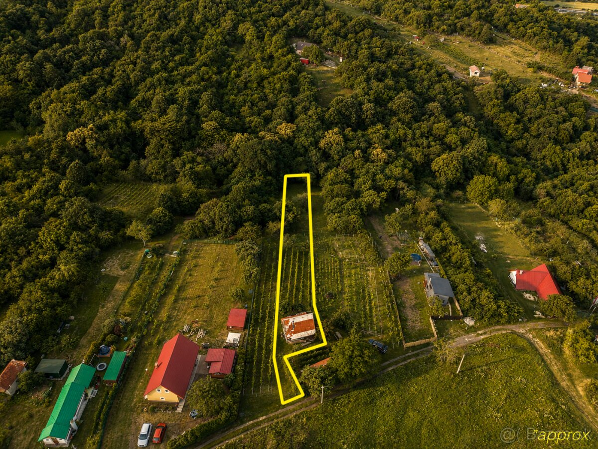 NA PREDAJ VINICA S VINIČNOU CHATKOU - 10