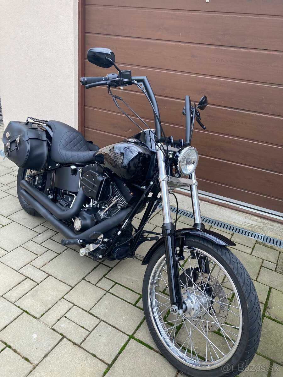 Harley Davidson-softail - 10