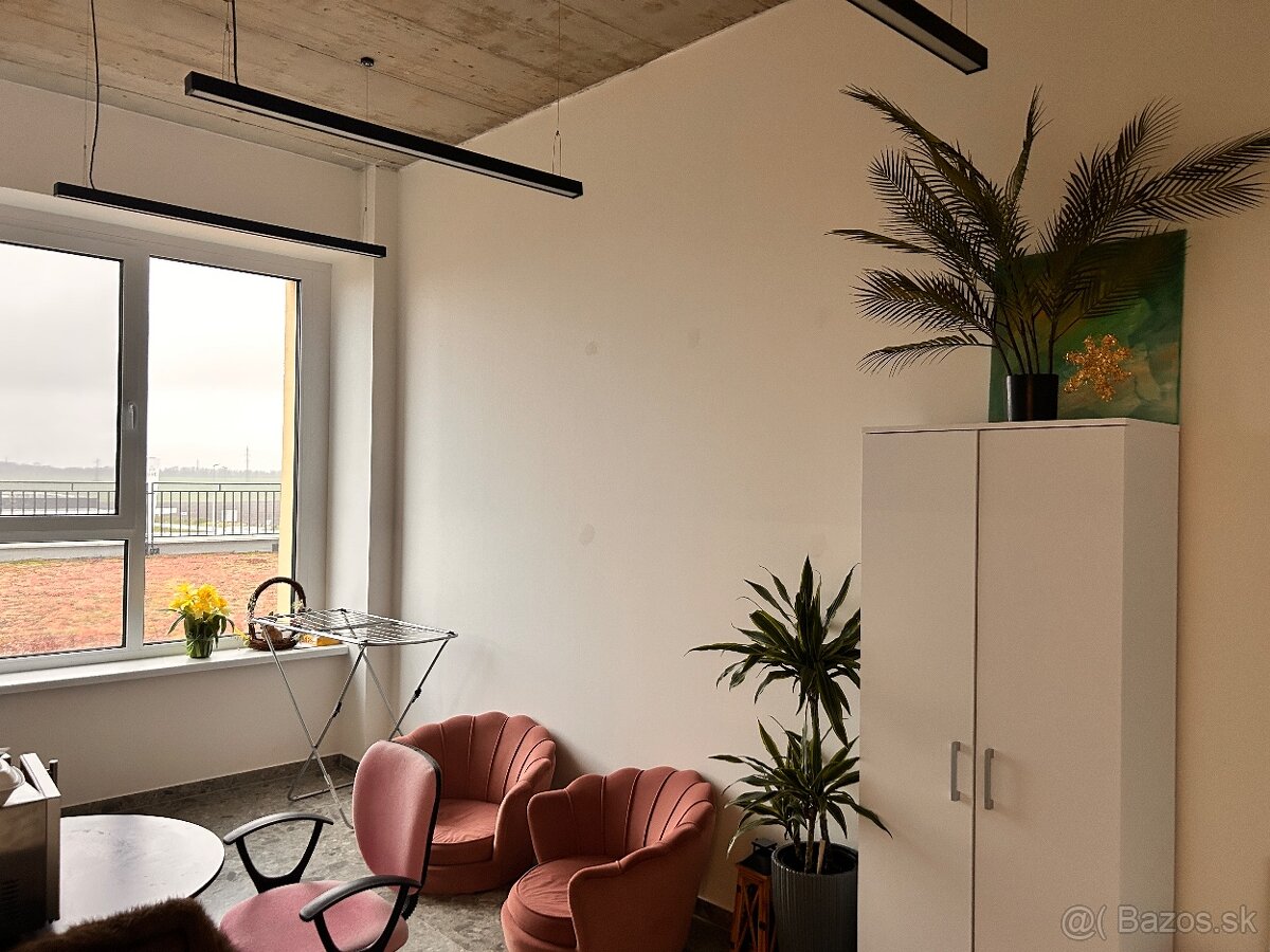 Krásny priestor s veľkou terasou - 10