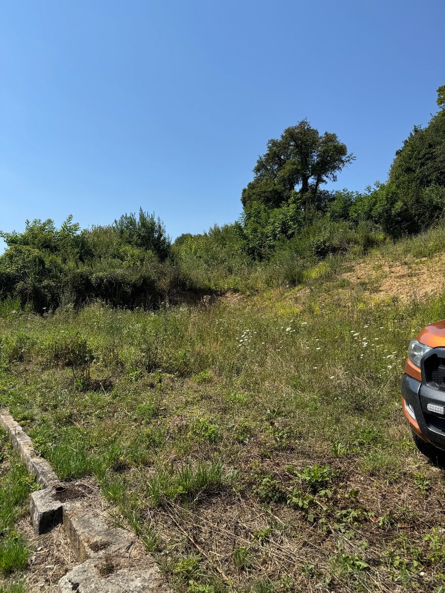 Pílenie stromov - 10