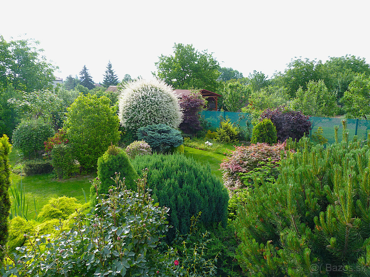 18 ročný VEĽMI PEKNÝ rodinný DOM s ROZPRÁVKOU Záhradou - Koš - 10