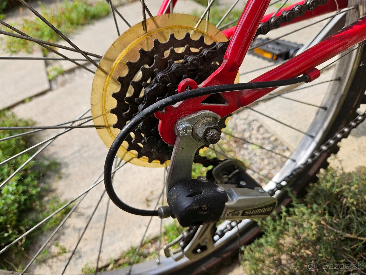 Dievčenský bike Vector Mirage - 10