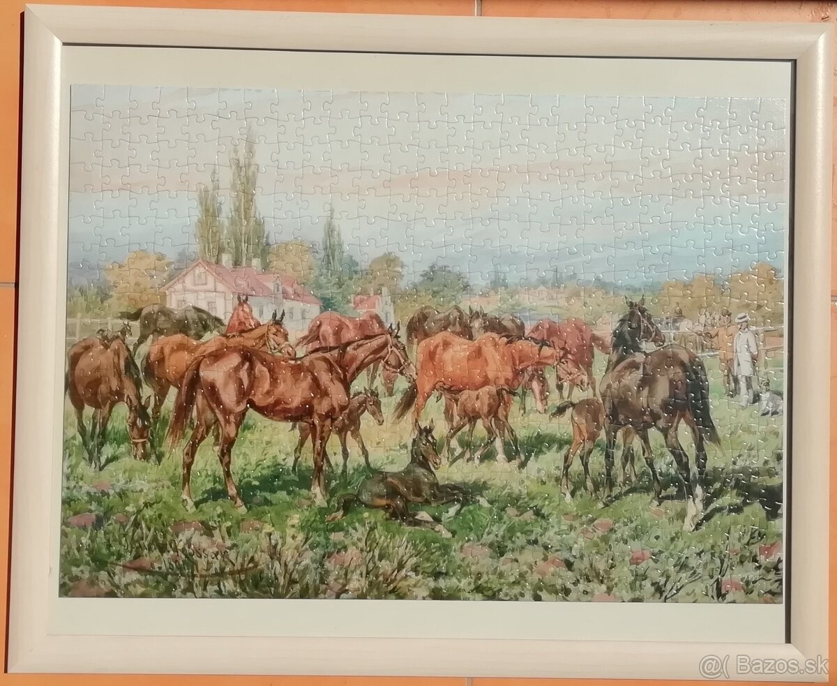 Predam zarámované puzzle (500) - 10