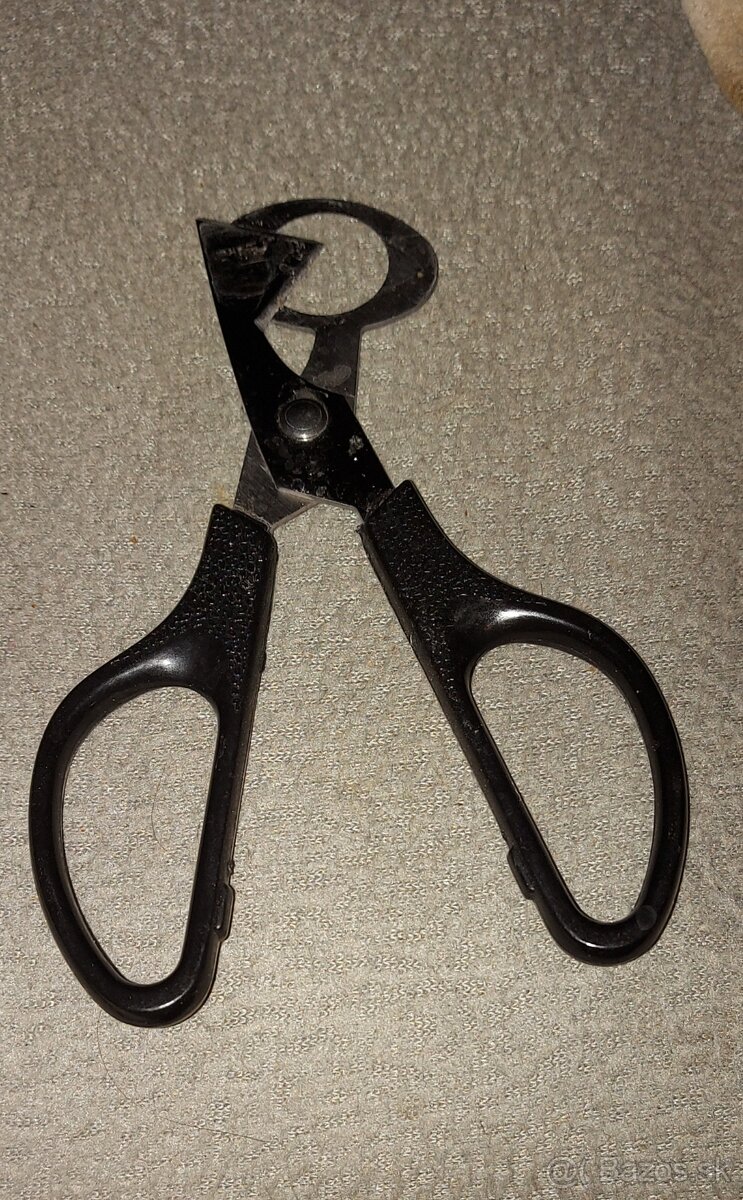 Prepelice japonské - 10