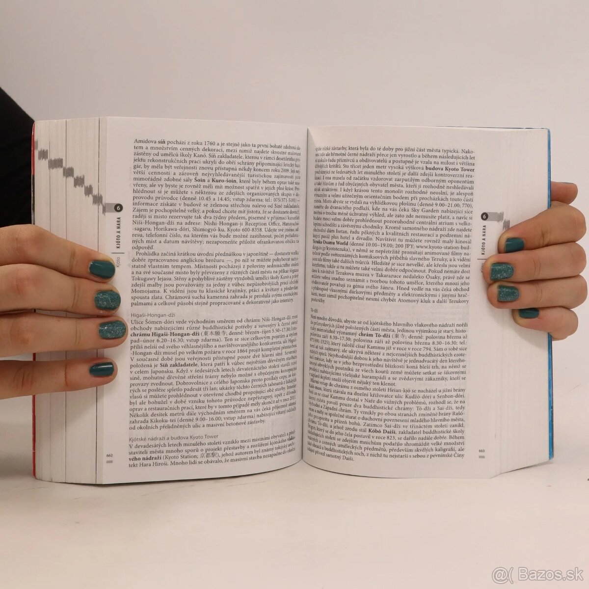 Japonsko - český turistický sprievodca Rough Guides - 10