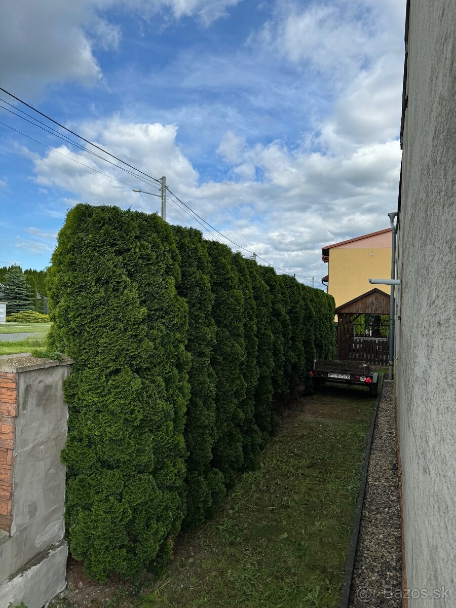 Údržba záhrad, kosenie, pílenie - 10