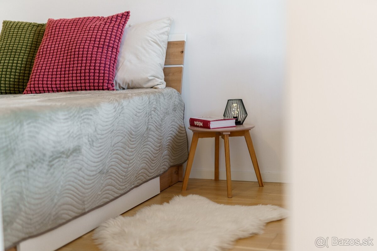 NADŠTANDARDNÝ 1,5i BYT V PROJEKTE GUTHAUS - 10