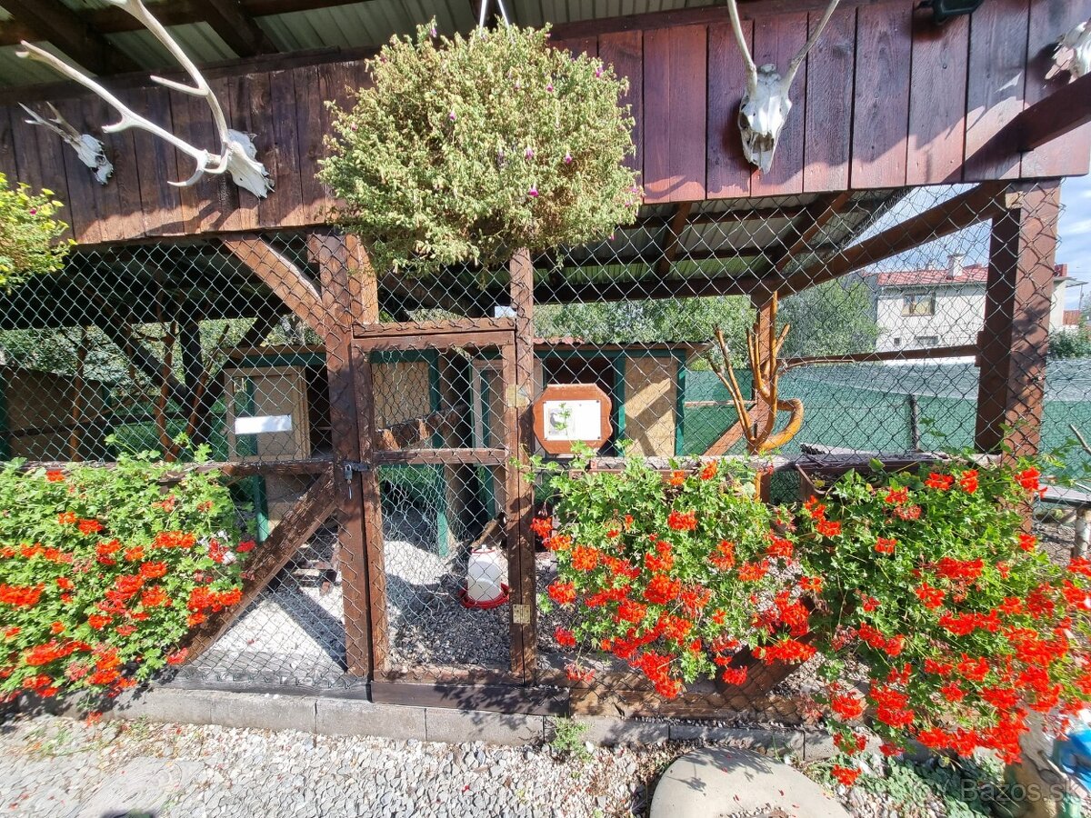 Voliery , klietky - 10