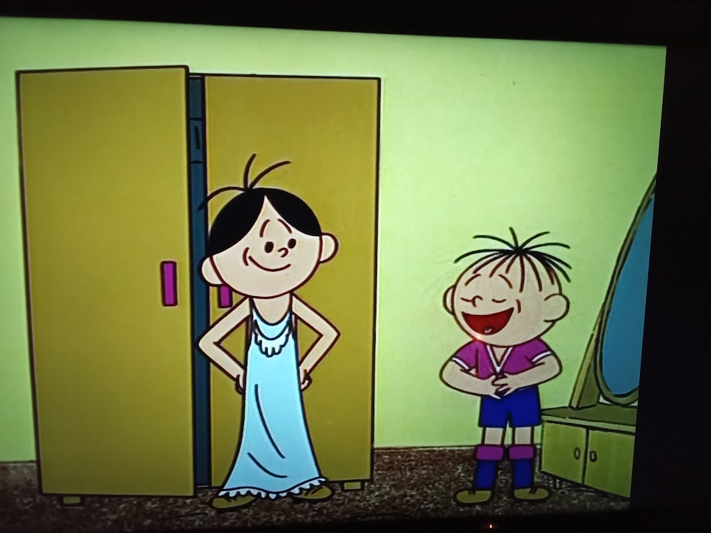 Panasonic DVD-RV62 - 10