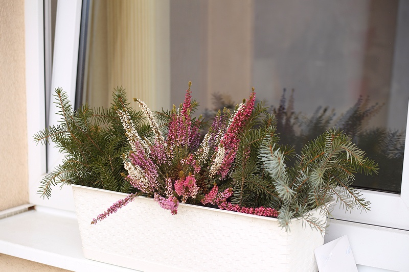 Canon 70-150mm / F4,5 / M42 / FD (adaptér pre EOS EF) - 10