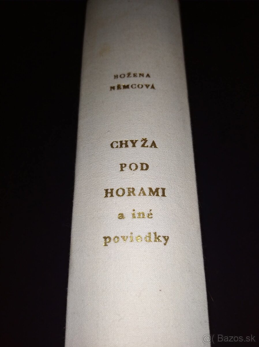 Chyžna pod horami - 10