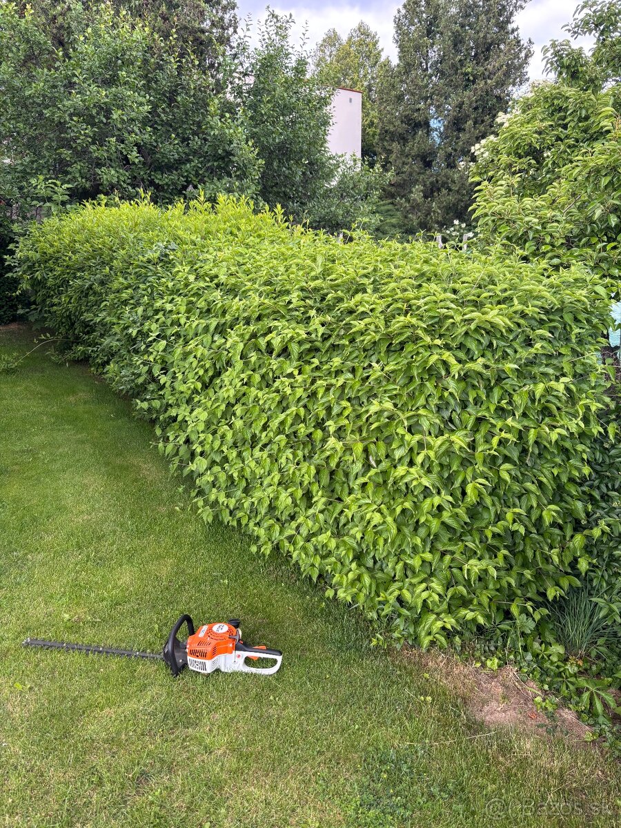 Úprava záhrad a živých plotov, vypiľovanie tují, kosenie - 10