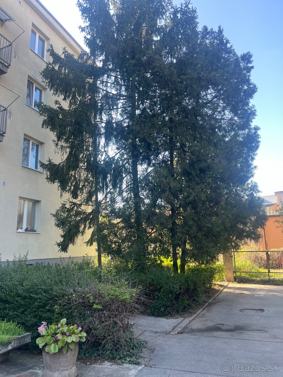 RK Diamant - predaj 2 izbového bytu ZNÍŽENÁ CENA - 10