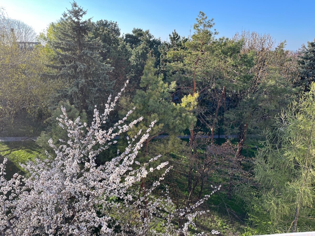 Na prenájom trojizbový byt v meste Dun.Streda - 10