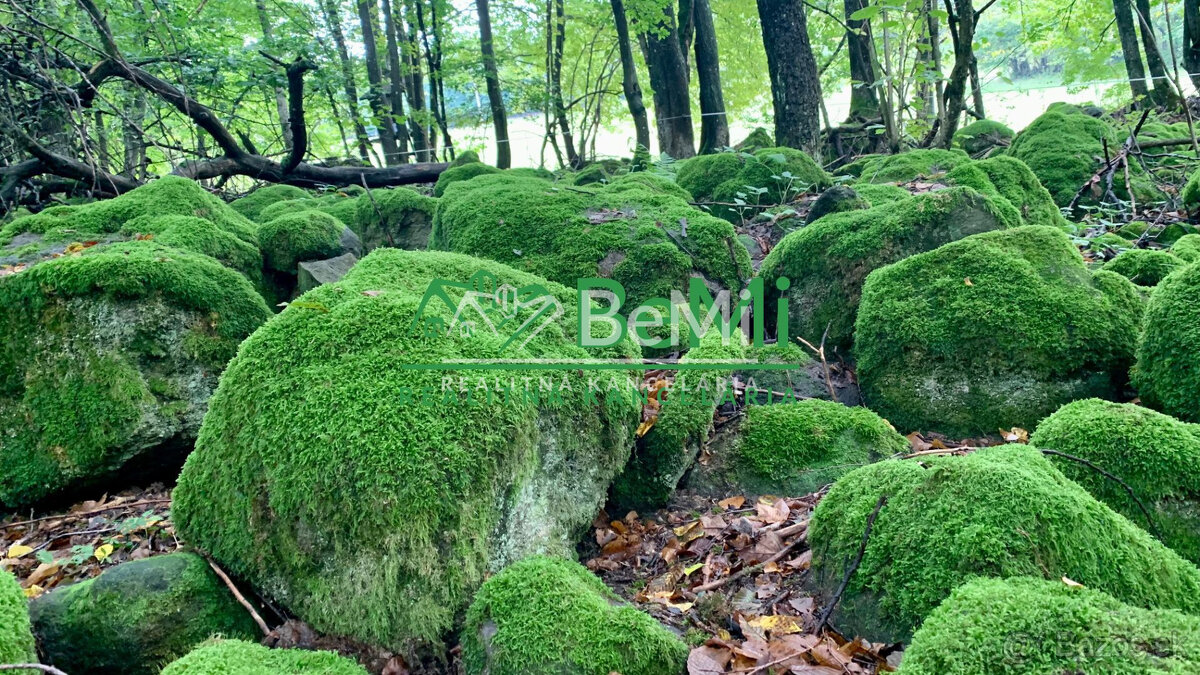 Slnečné pozemky 11434 m2, Michalková - 10