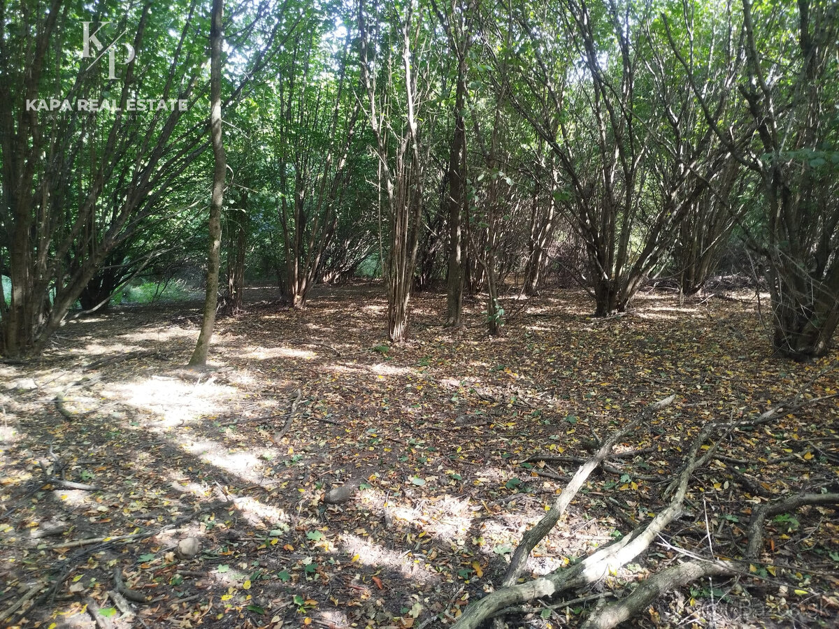 Pozemok na predaj, plocha 4607 m², Veľký Šariš - 10