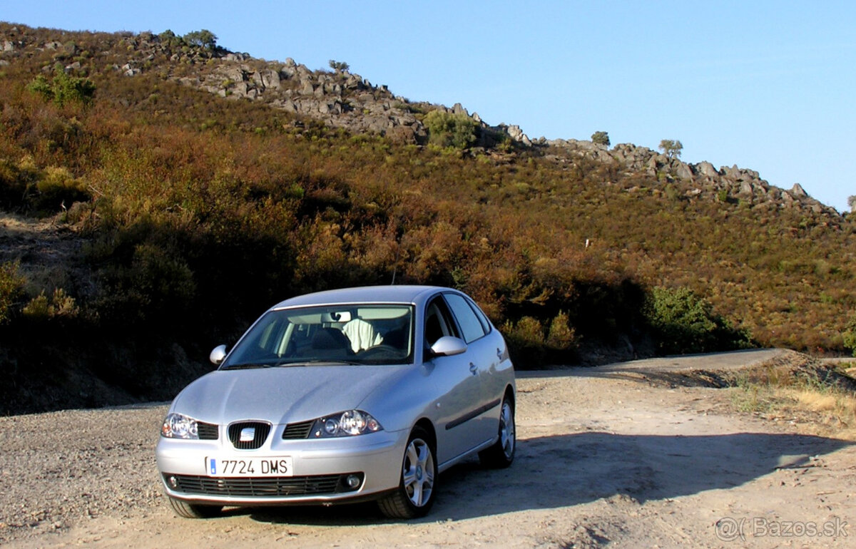 Strešné nosiče THULE Seat Ibiza 8L / MK3 - 10