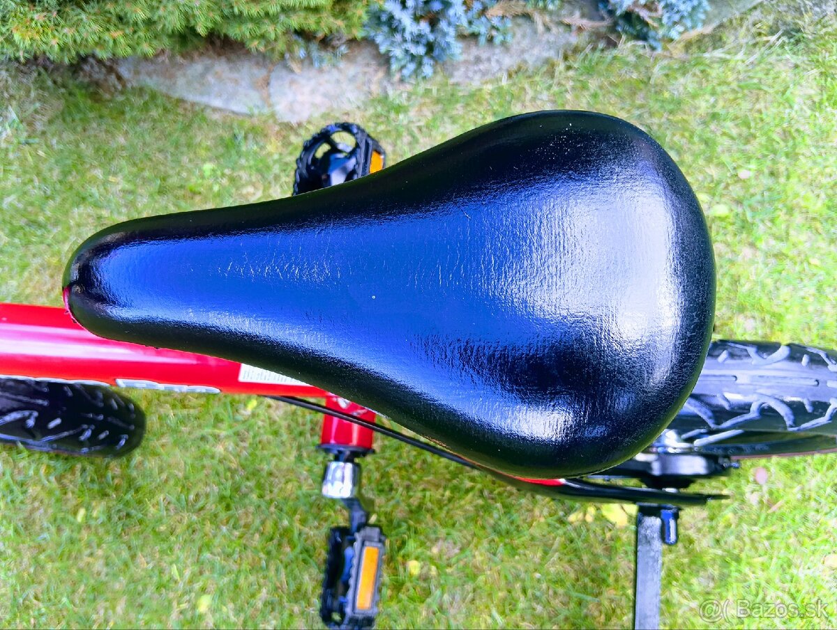 Bicyklík Balance Pro - 10