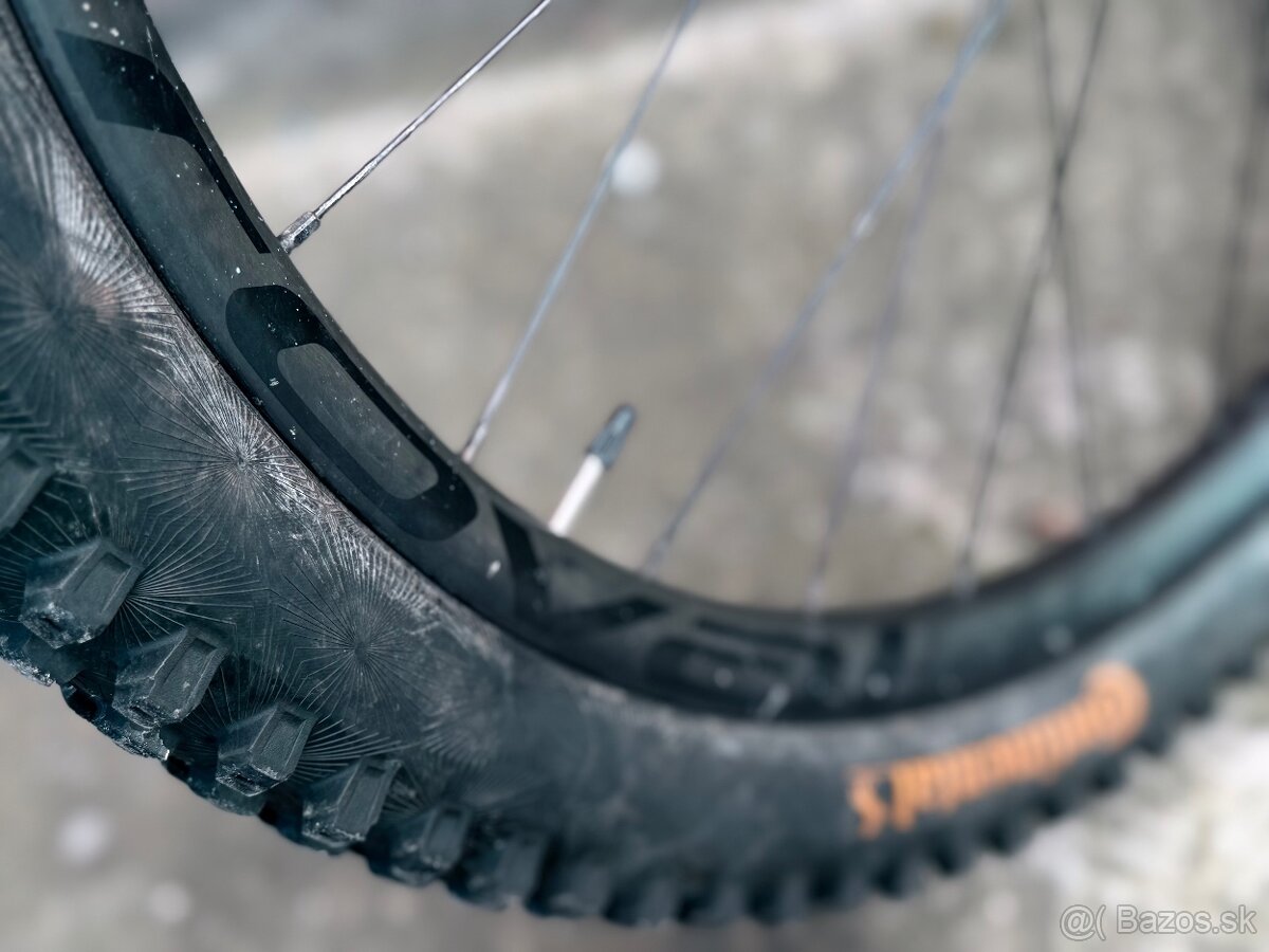 Specialized Kenevo sl - 10