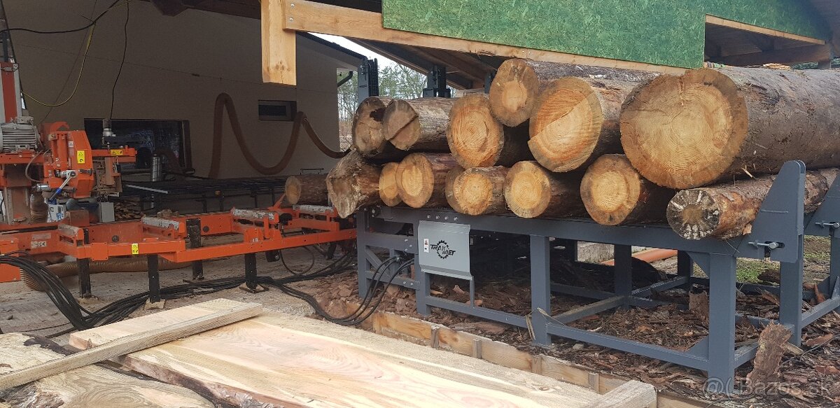 Wood Mizer LT20 - 10