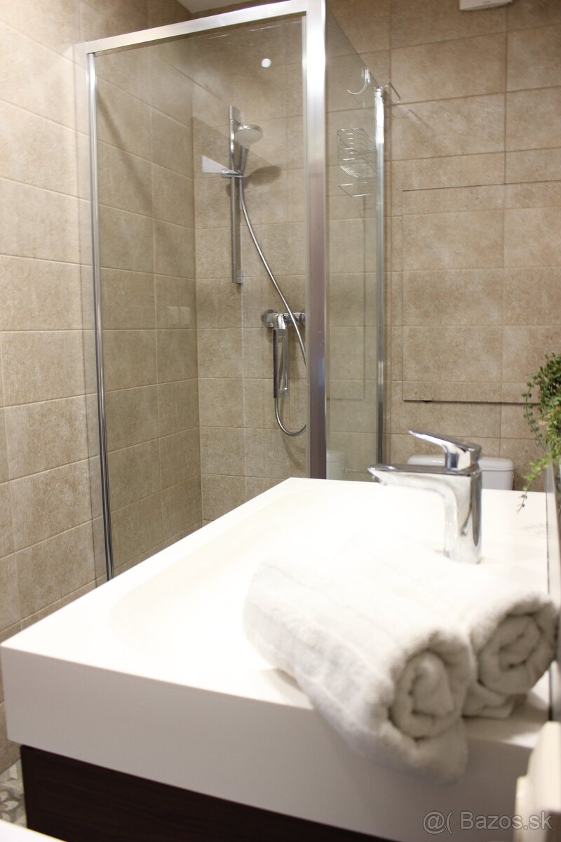 Prenájom 1-izbový byt Stred - 10