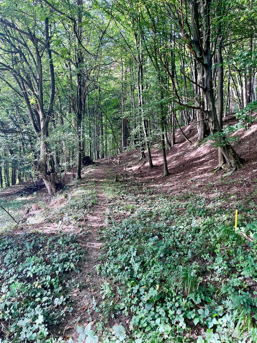 Pozemok s prechodom priamo do lesa - 10