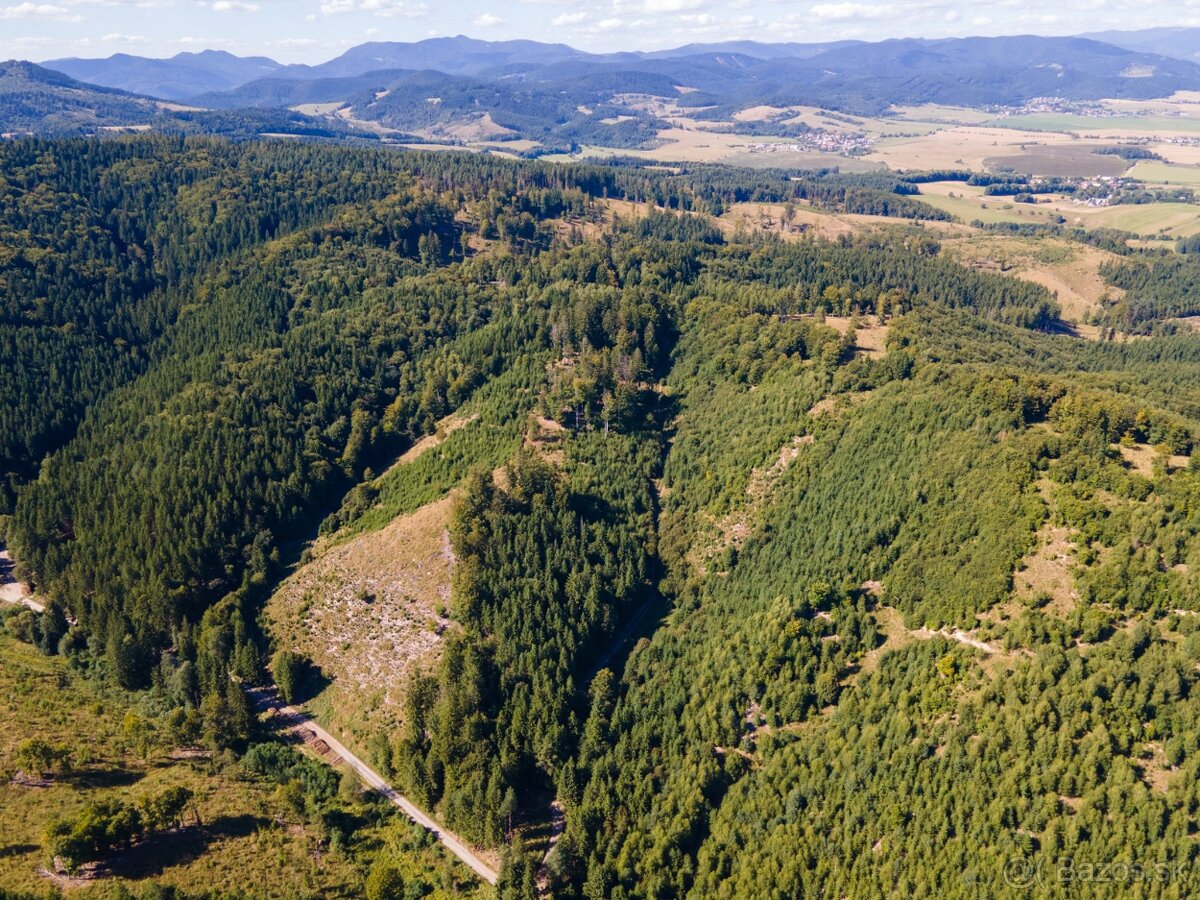 HOSPODÁRSKY LES V OBCI BUDIŠ V OKRESE TURČIANSKE TEPLICE - 10