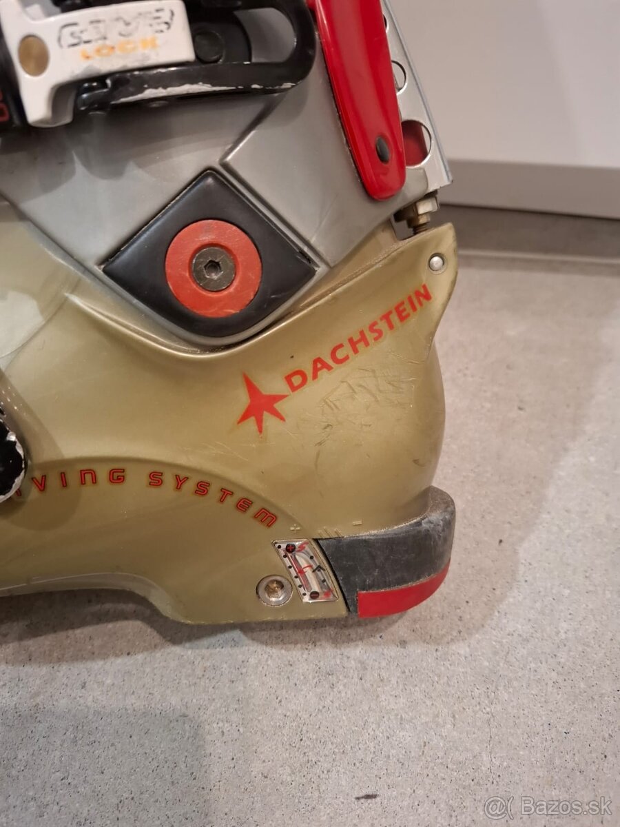 Skialpove lyziarky Dachstein Carve Race 320 mm - 10