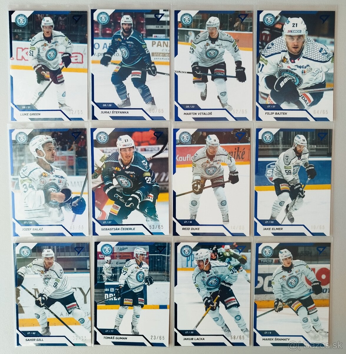 Hokejové kartičky TIPOS EXTRALIGA 2024/2025 - HK NITRA - 10